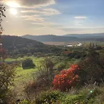 Nyaraló Babamuzeum *