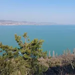 Babamuzeum Nyaraló *