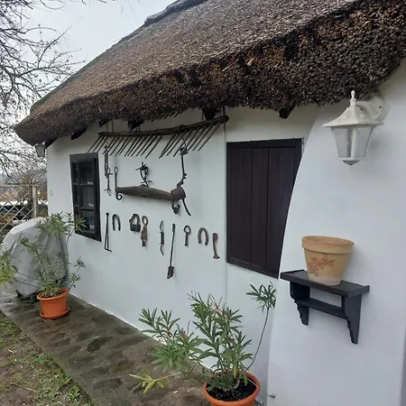 Babamuzeum Holiday home