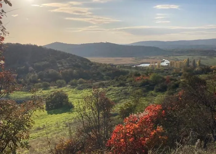 בית נופש Babamuzeum *
