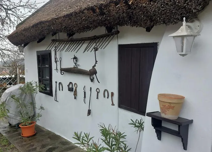 Babamuzeum Dom wakacyjny