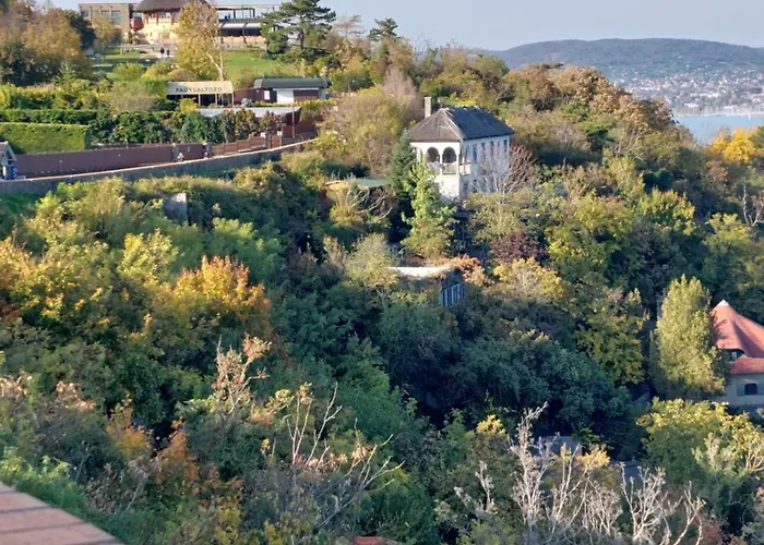 Babamuzeum בית נופש *