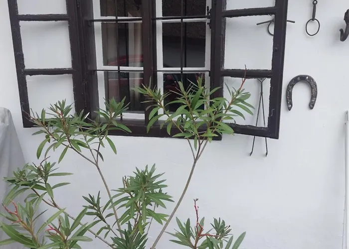 Babamuzeum בית נופש טיהאני